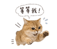 844807623