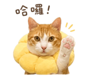 844808209