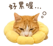 844808215