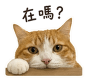 844808223