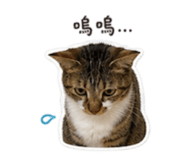 844808267