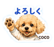 844808480