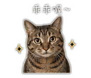 844810342