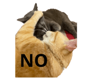 844810782