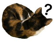 844810784