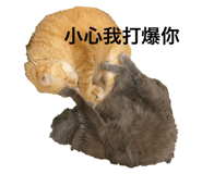 844810792