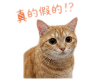844810801