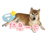 844811213