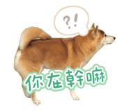 844811215