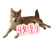 844811217