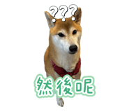 844811219