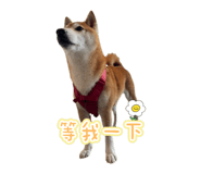844811226