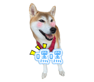 844811232