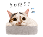 844811535