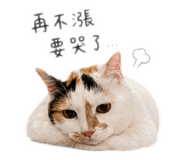844811536