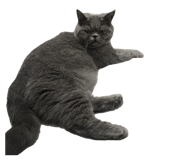 844811735