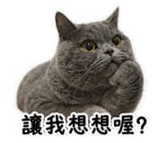 844811750