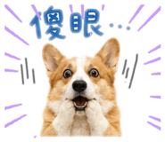 844812368
