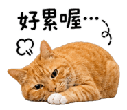 844812527
