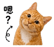 844812533
