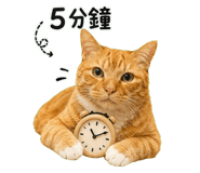 844812542