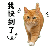 844812551