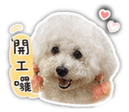 844812833