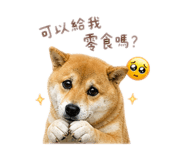 844812907