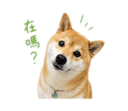 844812912