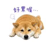 844812913