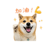844812914