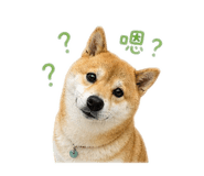 844812917