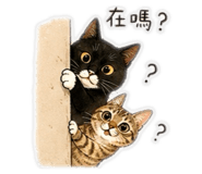 844813010