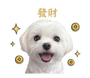 844814437