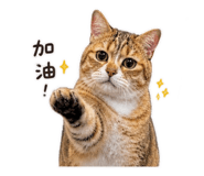 844814485