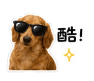 844814629