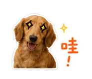 844814631