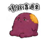 844814675
