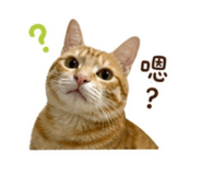 844814931