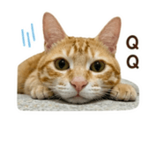 844814936