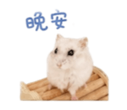 844815490