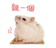 844815502