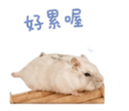 844815506