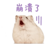 844815507