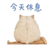 844815516