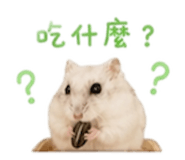 844815519