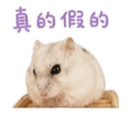 844815525