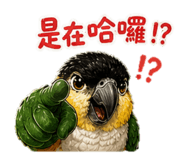 844815563