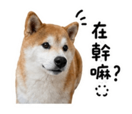 844815581