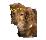 844816378